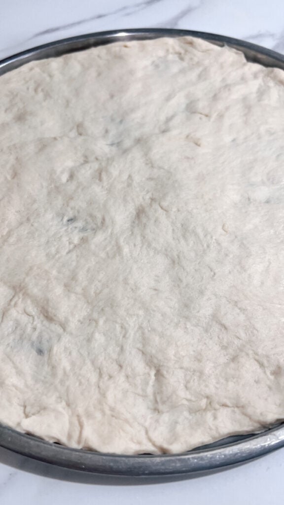  IMG_7106_jpg-576x1024 Homemade Pizza Dough Recipe  