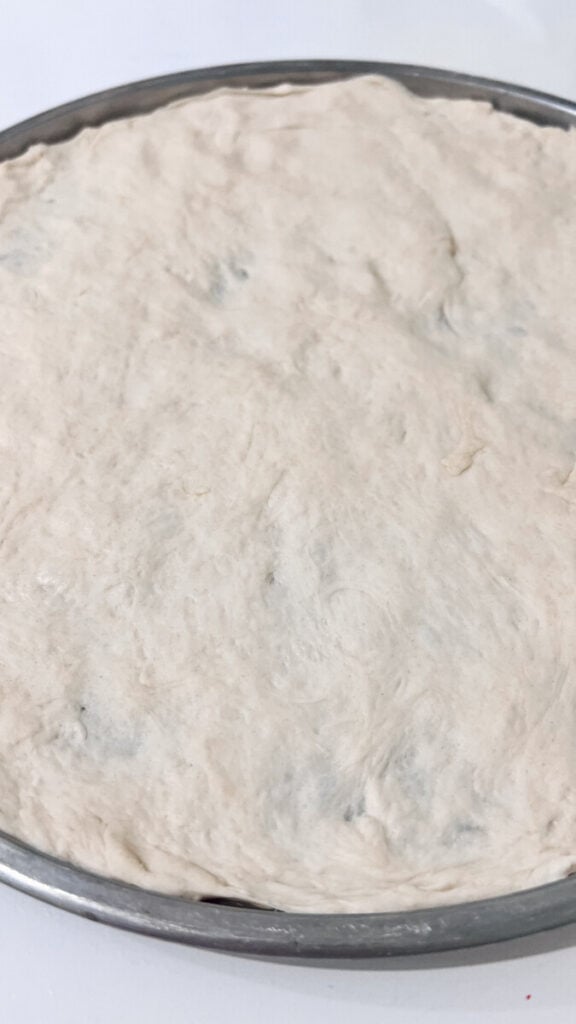  IMG_7111_jpg-576x1024 Homemade Pizza Dough Recipe  