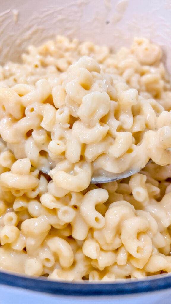  IMG_0781_jpg-576x1024 Cheesy One Pot Mac and Cheese  