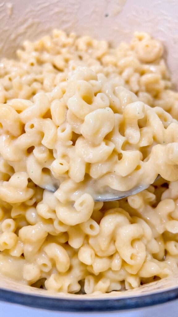  IMG_0783_jpg-576x1024 Pasta  