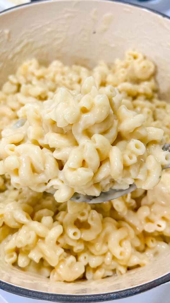  IMG_0784_jpg-1-576x1024 Cheesy One Pot Mac and Cheese  