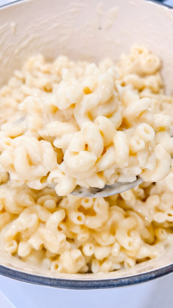  IMG_0785_jpg-1-576x1024 Cheesy One Pot Mac and Cheese  