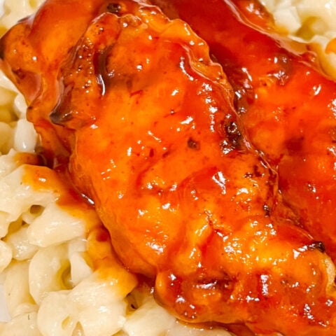  IMG_0837_jpg-1-480x480 Back to School Recipes  