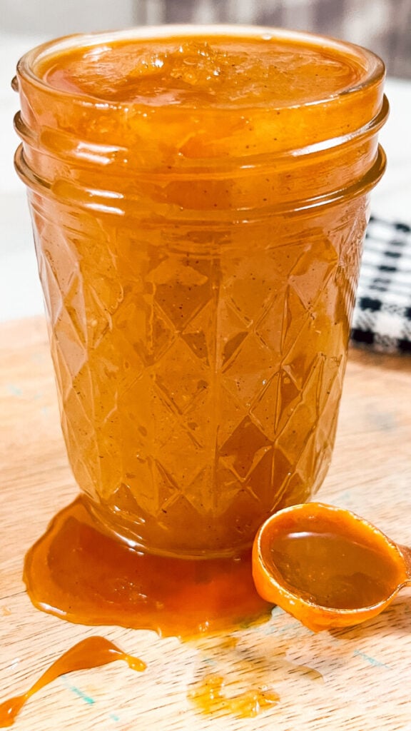  IMG_1514_jpg-576x1024 Caramel Apple Butter Recipe  
