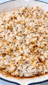  IMG_2533_jpg-169x300 IMG_2533_jpg  