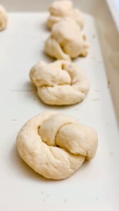  IMG_4218_jpg-1-169x300 IMG_4218_jpg (1)  