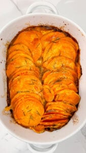  IMG_4678_jpg-169x300 IMG_4678_jpg  