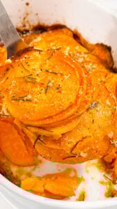  IMG_4696_jpg-169x300 IMG_4696_jpg  