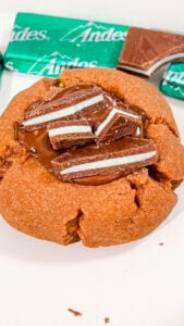  IMG_5149_jpg-169x300 IMG_5149_jpg  