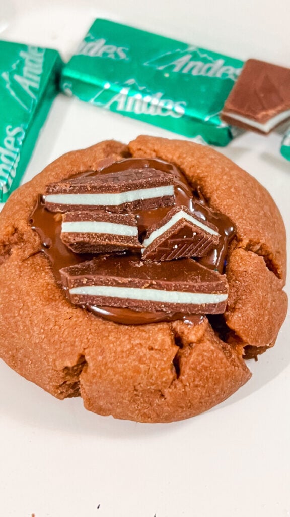  IMG_5163_jpg-576x1024 Andes Thin Mint Thumbprint Cookies  