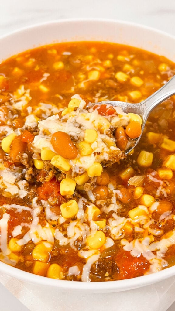 IMG_7661_jpg-576x1024 Hearty Taco Soup Recipe