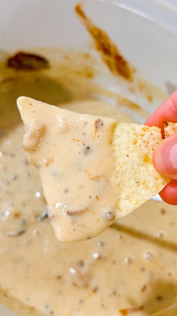 IMG_8017_jpg-576x1024 Crock Pot Smoked Queso Dip