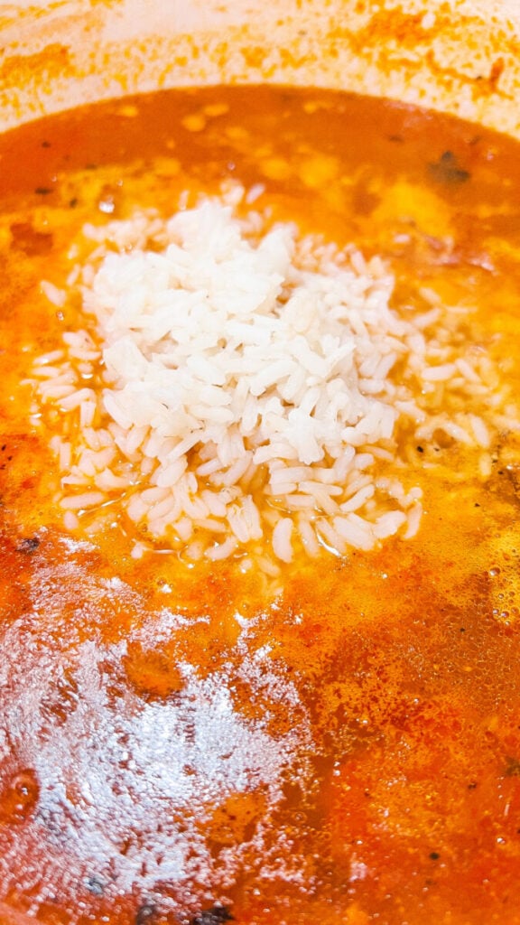 IMG_8031_jpg-576x1024 Taco Rice Soup