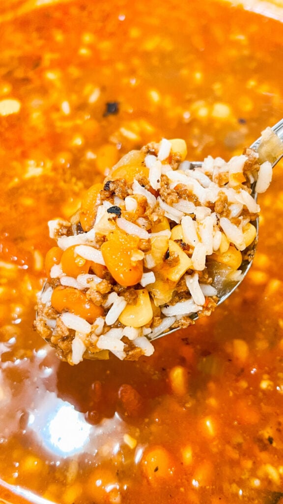 IMG_8042_jpg-576x1024 Taco Rice Soup