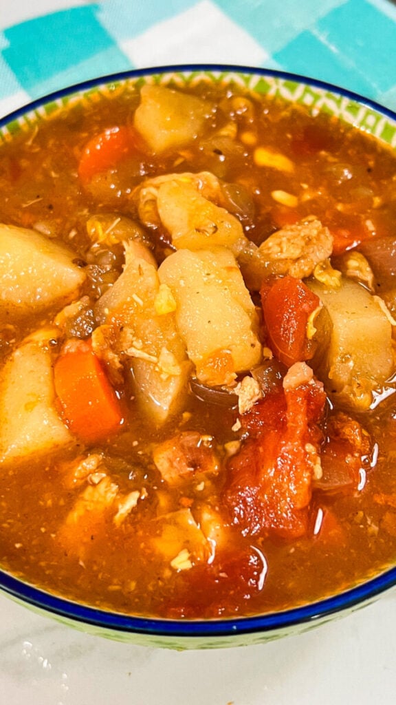 IMG_0013_jpg-1-576x1024 Homemade Vegetable Soup