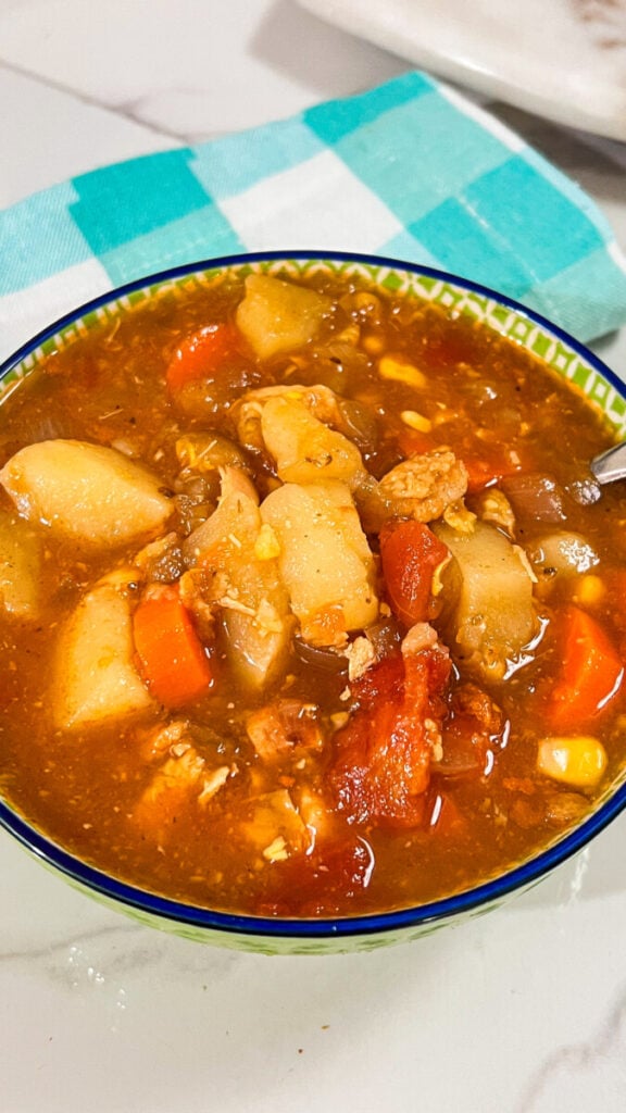 IMG_0016_jpg-576x1024 Homemade Vegetable Soup