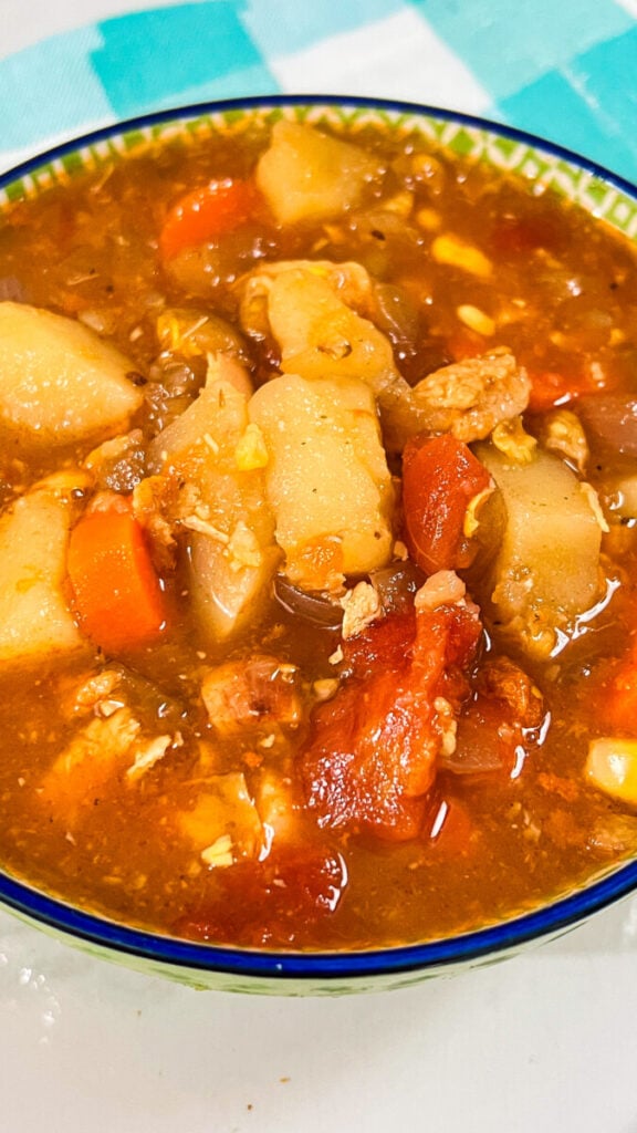 IMG_0027_jpg-1-576x1024 Homemade Vegetable Soup