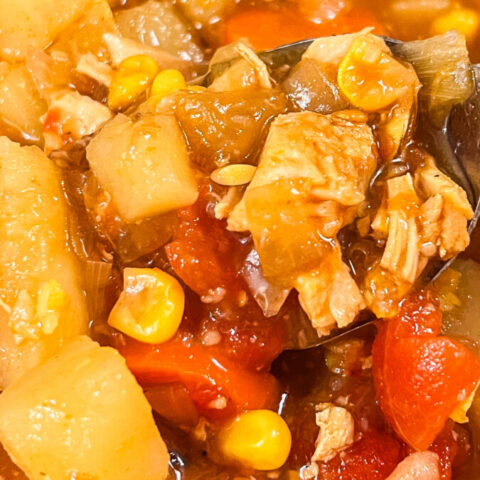  IMG_0033_jpg-1-480x480 Homemade Vegetable Soup  