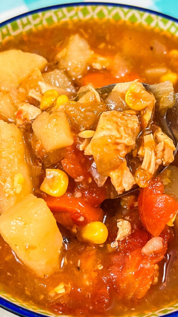 IMG_0033_jpg-1-576x1024 Homemade Vegetable Soup