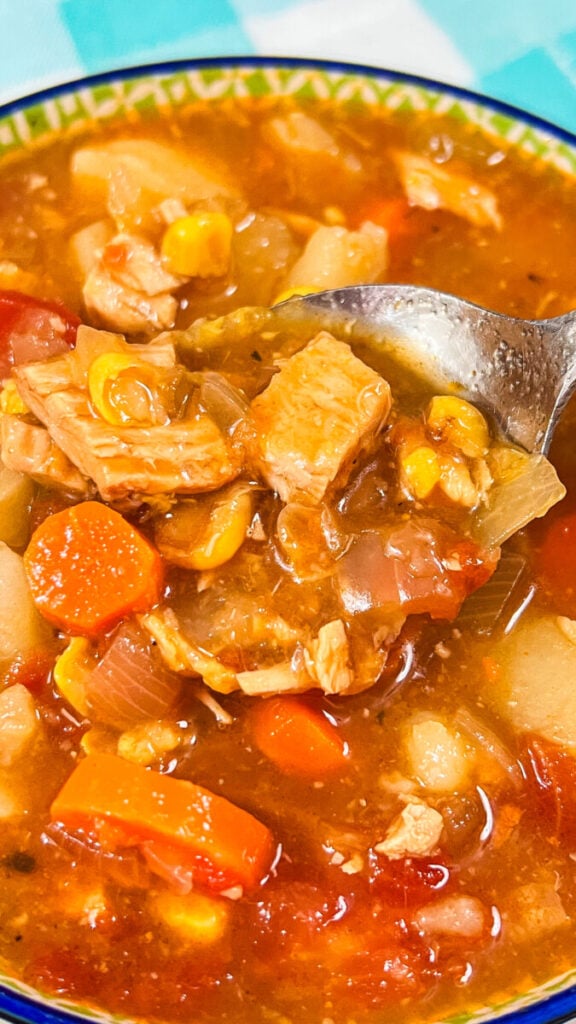 IMG_0039_jpg-1-576x1024 Homemade Vegetable Soup