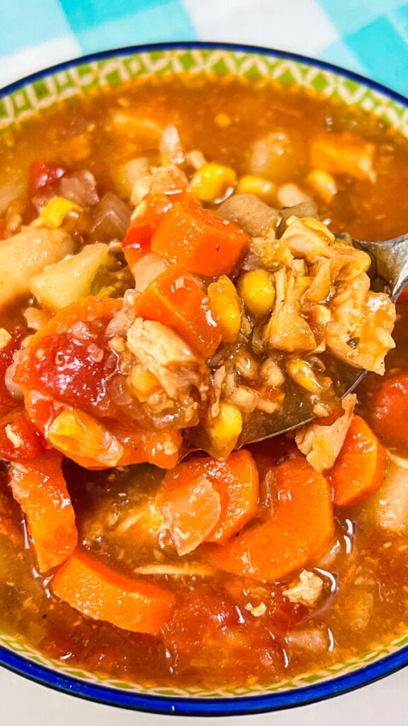 IMG_0044_jpg-1-576x1024 Homemade Vegetable Soup