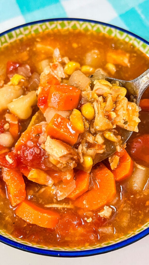 IMG_0045_jpg-1-576x1024 Homemade Vegetable Soup