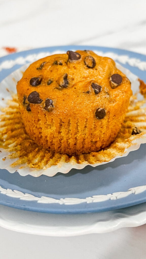 IMG_1183_jpg-1-576x1024 Pumpkin Chocolate Chip Muffins