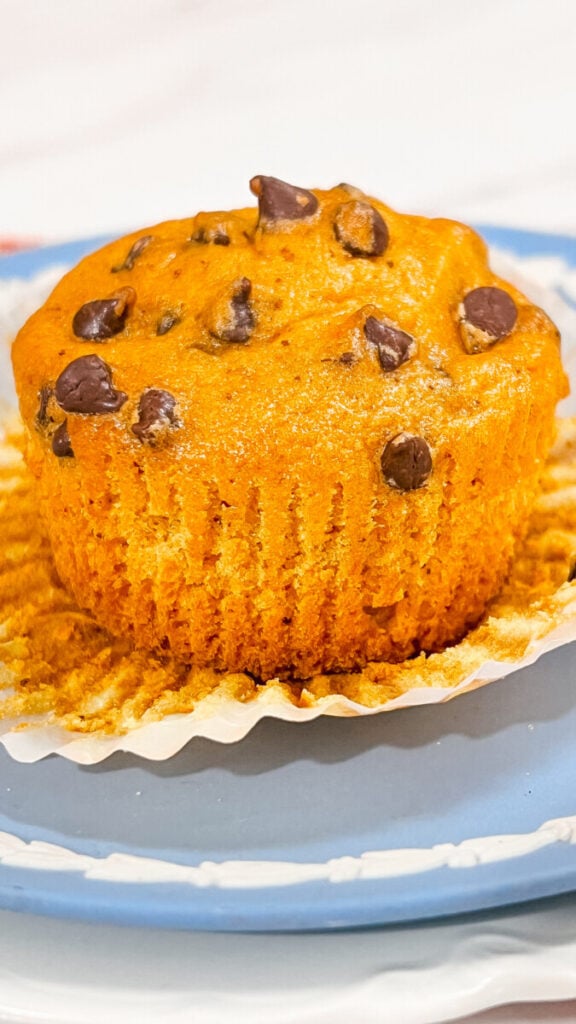 IMG_1190_jpg-576x1024 Pumpkin Chocolate Chip Muffins