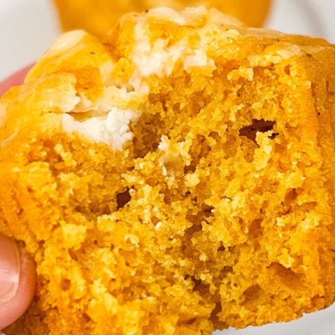  IMG_1251_jpg-480x480 Back to School Recipes  