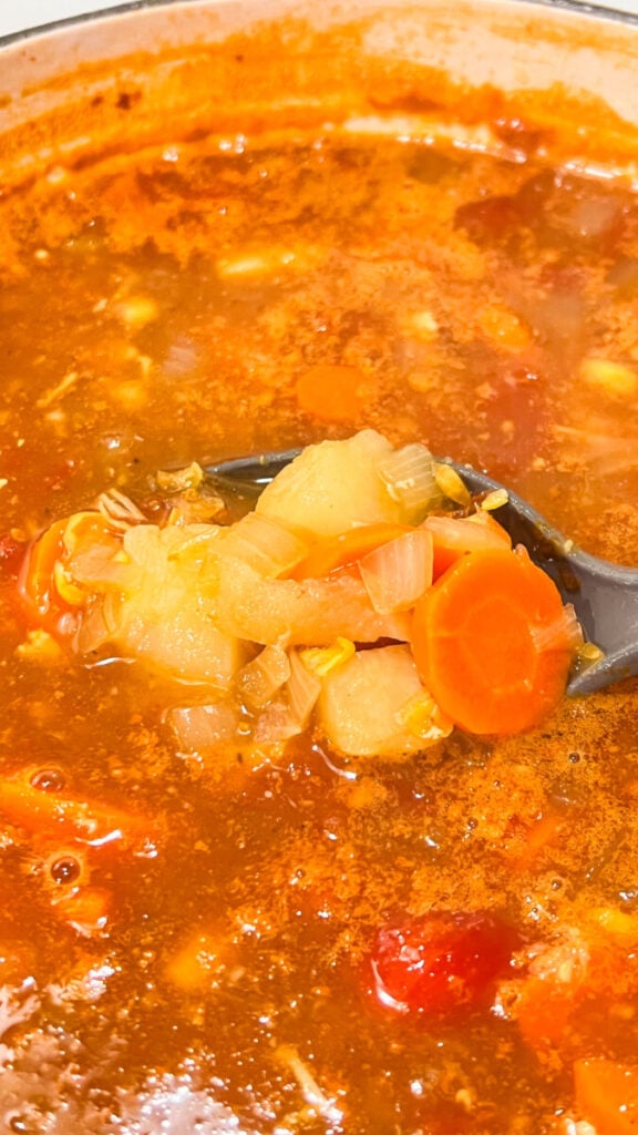 IMG_9935_jpg-1-576x1024 Homemade Vegetable Soup