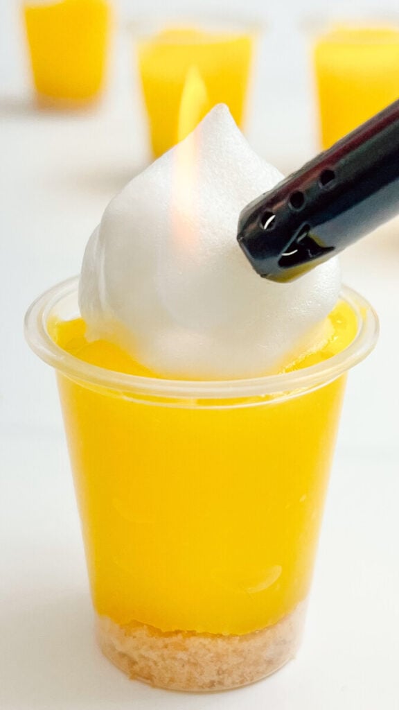  IMG_2621_jpg-576x1024 Lemon Meringue Pie Pudding Shots  