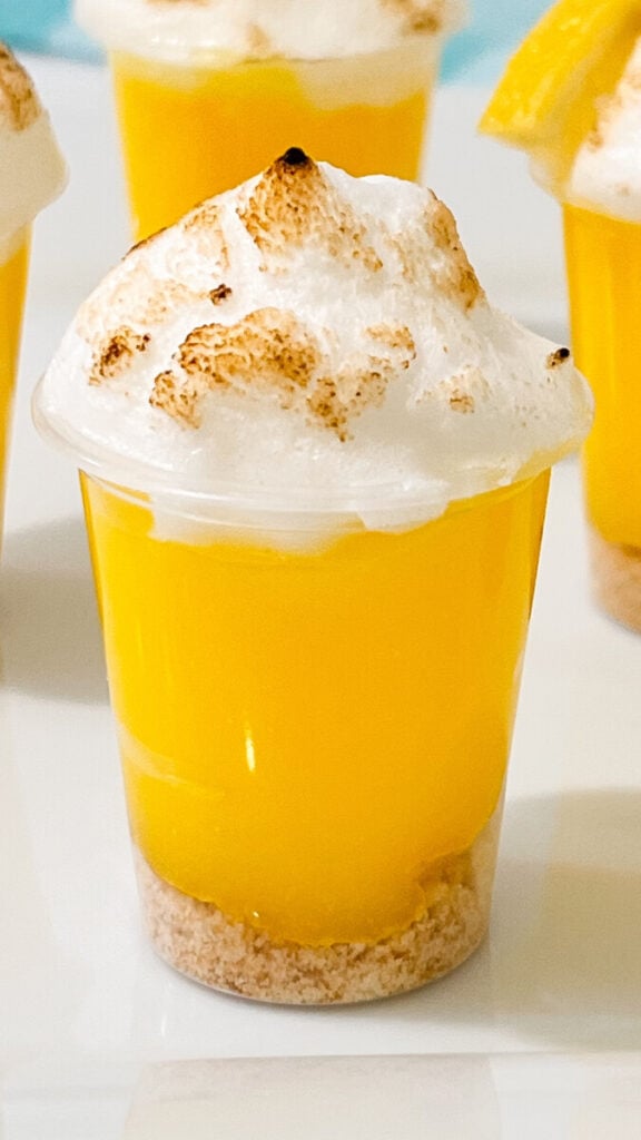  IMG_2669_jpg-576x1024 Lemon Meringue Pie Pudding Shots  