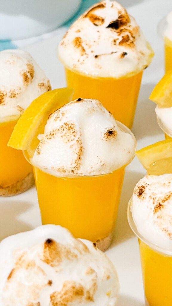  IMG_2674_jpg-576x1024 Lemon Meringue Pie Pudding Shots  