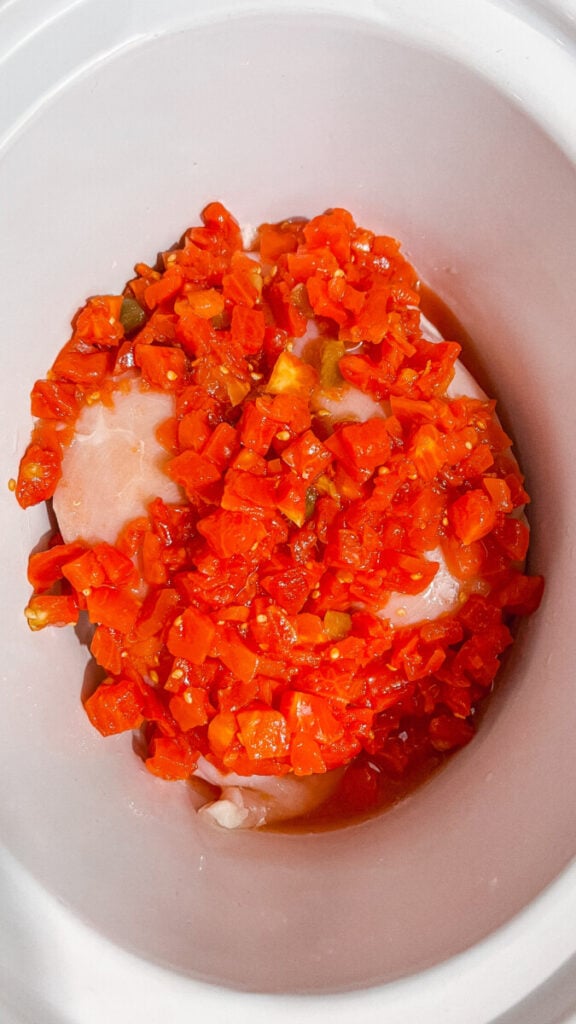  IMG_6518_jpg-2-576x1024 Crock Pot Queso Chicken  