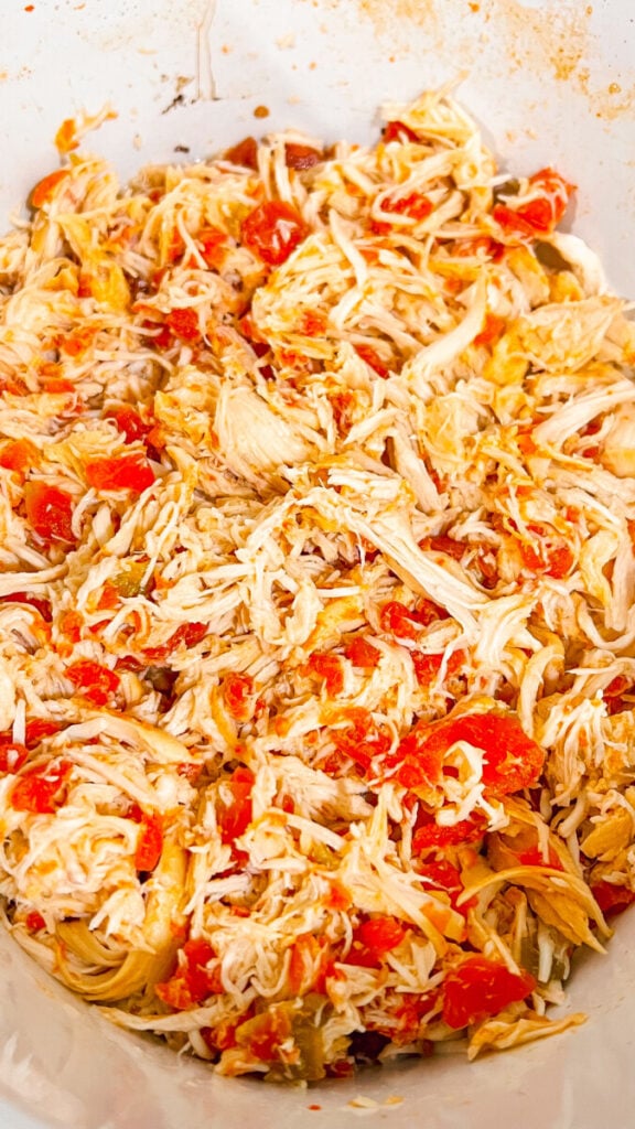  IMG_6592_jpg-2-576x1024 Crock Pot Queso Chicken  