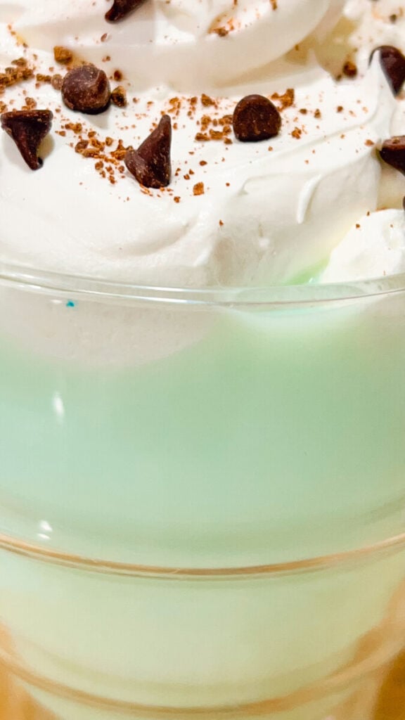  IMG_6668_jpg-576x1024 Mint Chocolate Chip Hot Chocolate  