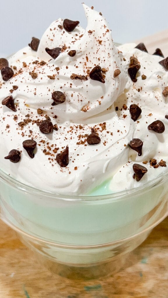  IMG_6677_jpg-576x1024 Mint Chocolate Chip Hot Chocolate  