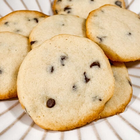  IMG_8881_jpg-480x480 Chocolate Chip Shortbread Cookies  