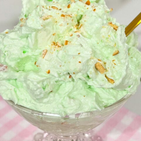  IMG_0198_jpg-480x480 Watergate Salad  