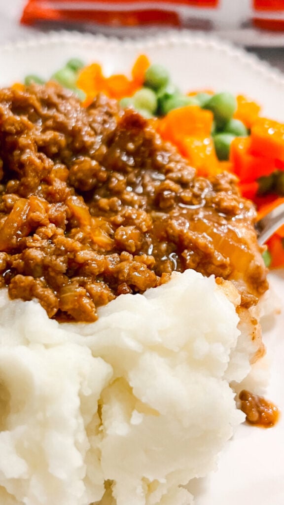 IMG_1748_jpg-576x1024 French Onion Meat Sauce