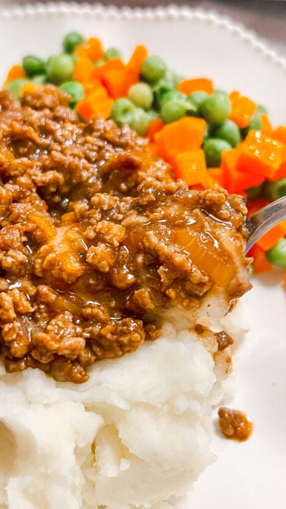 IMG_1752_jpg-576x1024 French Onion Meat Sauce