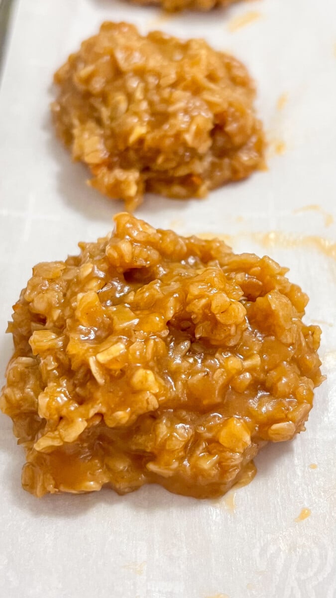  IMG_2824_jpg Peanut Butter No Bake Cookies  