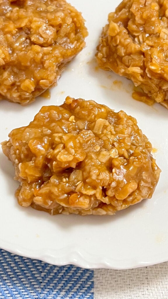  IMG_2842_jpg-576x1024 Peanut Butter No Bake Cookies  