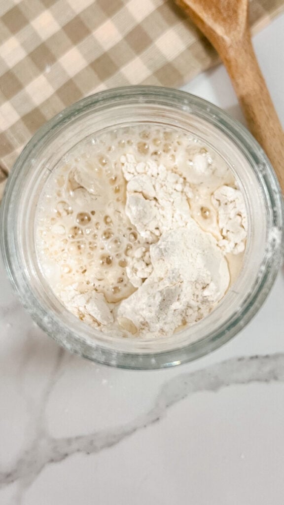  IMG_4230_jpg-576x1024 Easy Sourdough Starter Recipe for Beginners  