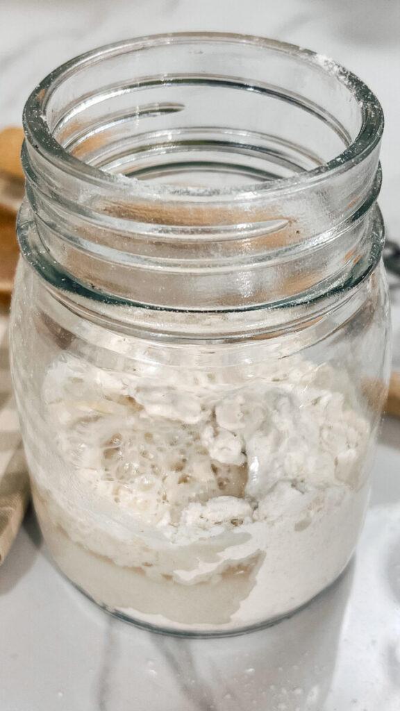  IMG_4231_jpg-576x1024 Easy Sourdough Starter Recipe for Beginners  