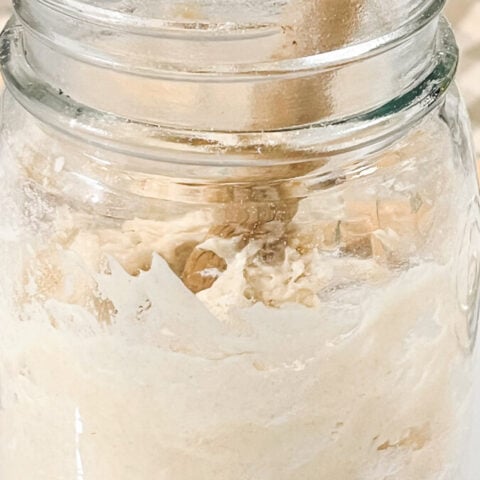  IMG_4235_jpg-480x480 Easy Sourdough Starter Recipe for Beginners  