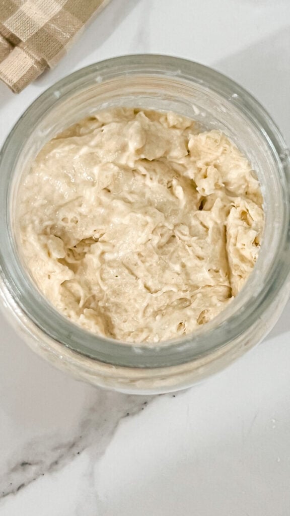  IMG_4243_jpg-576x1024 Easy Sourdough Starter Recipe for Beginners  