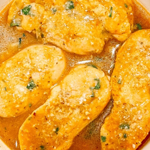  IMG_5281_jpg-480x480 Back to School Recipes  