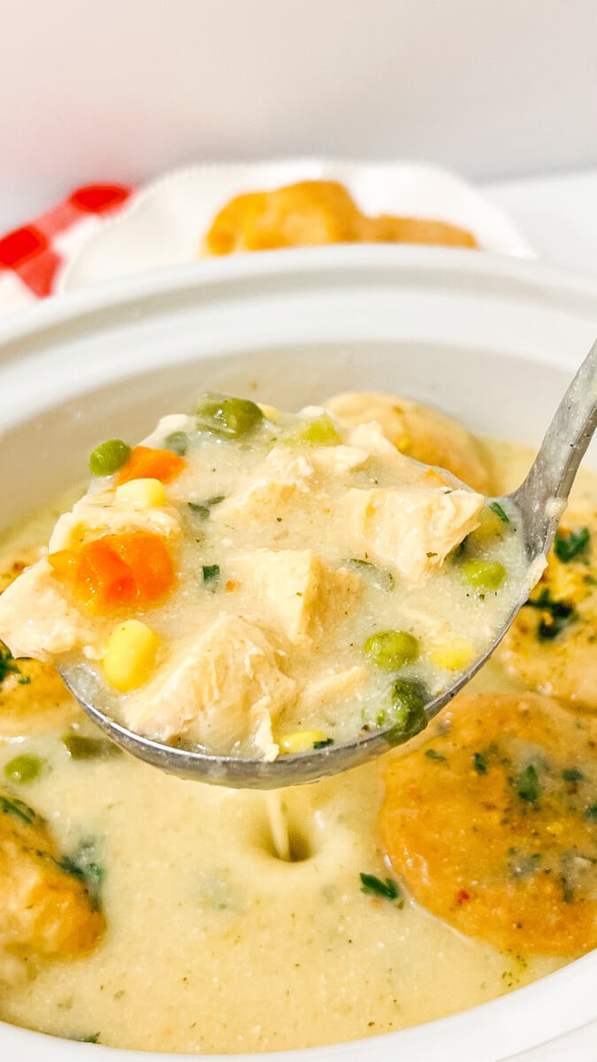  IMG_5579_jpg Crock Pot Chicken Pot Pie Soup  