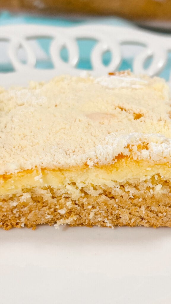 IMG_5650_jpg-576x1024 Gooey Butter Cake